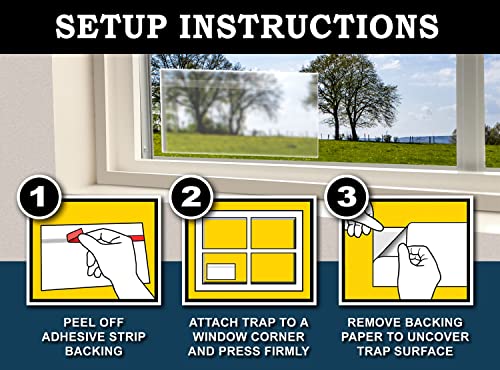 MaxGuard Window Fly Traps (24 XL Traps) Catch & Kill Houseflies, Flying Insects & Bugs. Non-Toxic Sticky Glue Traps Fly Killer Clear Strip Insect Catcher Safe No Zapping with Zapper |