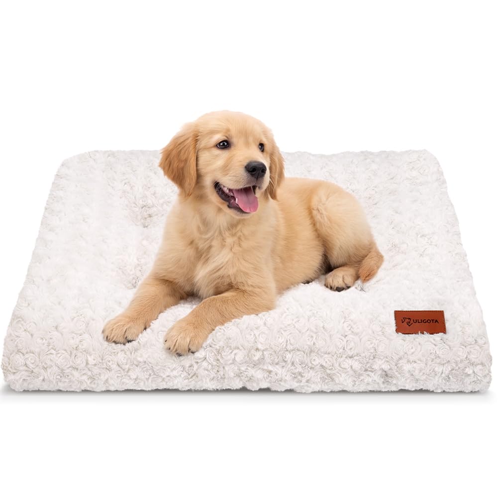 Dog Bed Crate Pad - Rosette Pattern White Velvet Pet Bed Anti-Slip Comfy Kennel Pad for Crates Rosette White M