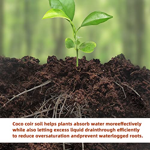 Premium Organic Coconut Coir Bricks - 6 Pack of 13.8 Gallon Bricks for Planting, Gardening, and Potting Soil Substrate. Low EC & pH Balanced 100% Organic Peat Moss Mix with Fiber from Coconut Husks