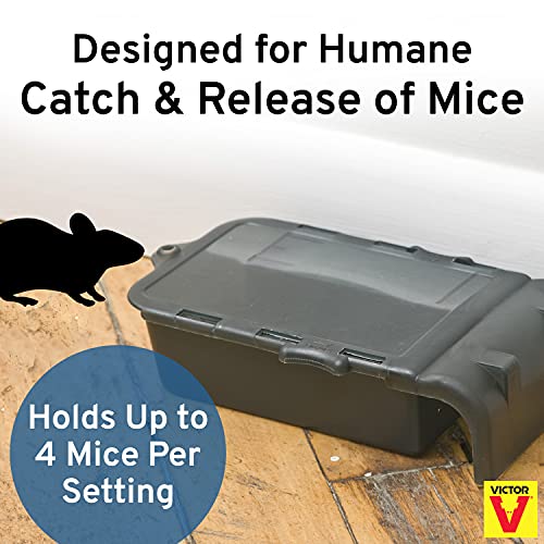 Victor M333 Multiple Catch Humane Outdoor and Indoor Mouse Trap (Pack of 2)