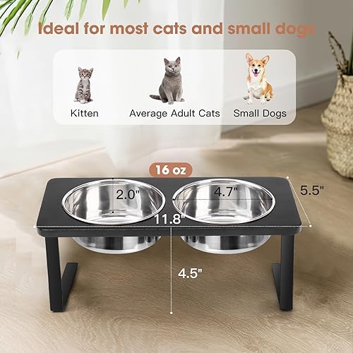 Elevated Cat Bowls, 15° Tilted Raised Cat Food Bowls Wood Pet Bowls with Stand Anti Vomiting 2 Stainless Steel Bowls for Cats and Puppy