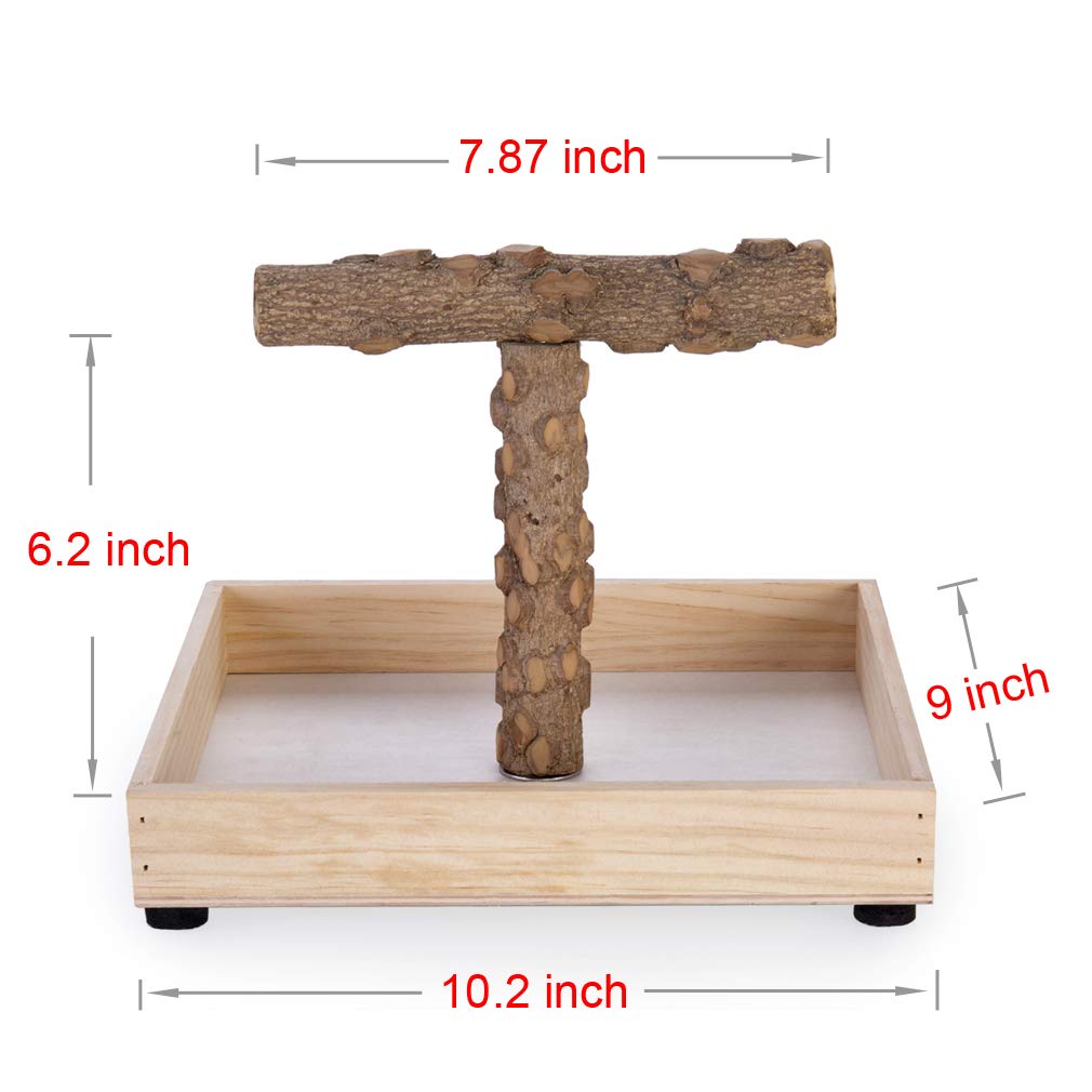 Bird Stand Tabletop,Portable Tee Stand, Parrot Play Stand Perch Gym for Small Medium Parrot (T Stand)