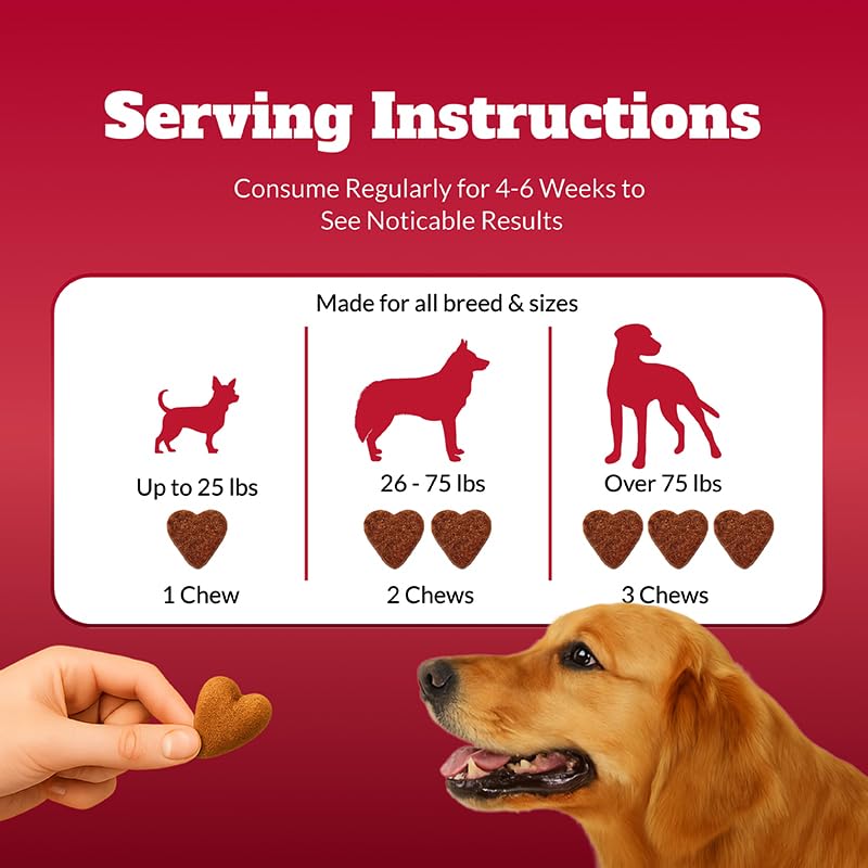 Dog Probiotics Chews Supplement – Digestive Support & Gut Health for Dogs, Helps Loose Stool, Gas & Sensitive Stomachs, Supports Itchy Skin, Allergy & Immune Health – 120 Ct