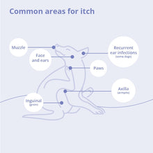 Load image into Gallery viewer, MiconaHex+Triz Mousse, 7.1 oz