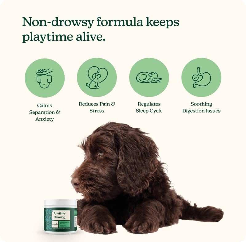Reggie Anytime Calming Chews for Dogs | Natural Anxiety Relief with L-Theanine & Magnolia Barks | Calming Dog Treats for Separation Anxiety, Thunderstorms, Travel & Stress | 60 Soft Chews