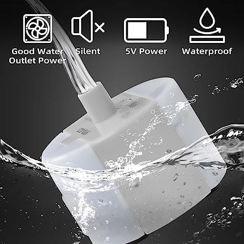 Ultra-Quiet Replacement Pump for Stainless Steel Cat Water Fountains - SMA-800 Motor - Safe and Easy to Clean with Low Voltage DC 5V and USB Cable (Pump+Brush)