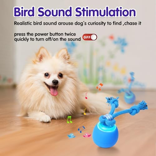 Interactive Dog Toys Electric Dog Ball Touch Wake-up with Dogs Chirping Rechargeable Toys Indoor & Outdoor Fun