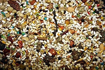 ABBA 1300 Large Hookbill Bird Food 5lbs