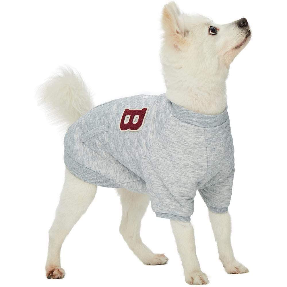 Blueberry Pet Soft & Comfy Baseball Fans Favorite Argyle Jacquard Pullover Dog Sweatshirt in Grey, Back Length 22", Pack of 1 Jacket for Dogs