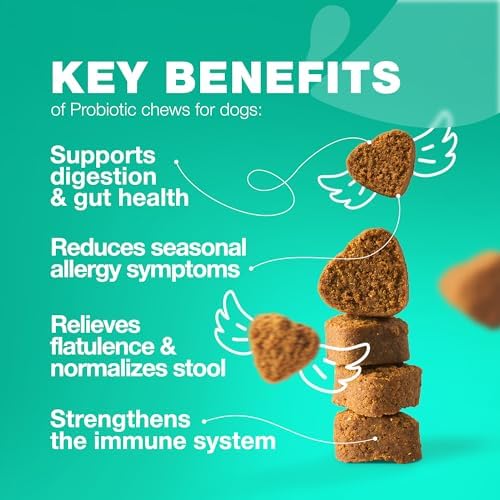 Probiotics for Dogs Gut Health, Digestion, Immunity, Yeast Balance, Itchy Skin, Allergies Support - Dog Probiotic Chews with Digestive Enzymes for Gut Flora- Soft Treats with Pumpkin and Yeast Powder