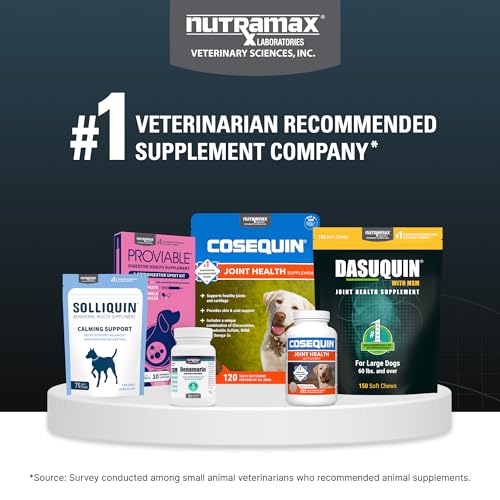 Nutramax Dasuquin for Small to Medium Dogs, Joint Health Supplement, Contains Glucosamine for Dogs, Plus Chondroitin, ASU, MSM and More, Supports Healthy Joints, Soft Chews, 84 Count
