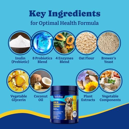 Probiotics for Dogs - 6 Billion CFUs, Dog Probiotics with Prebiotics & Digestive Enzymes for Gut, Immune & Skin Health - Turkey & Pumpkin Flavor, 180 Soft Chews