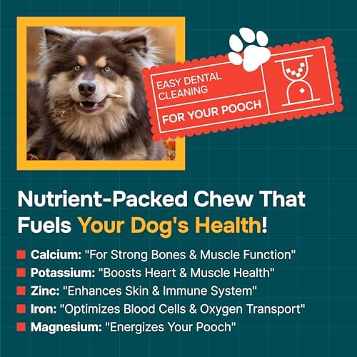 100% Natural - Elk Antlers for Dogs - Naturally Shed in USA - Long Lasting Chews for Aggressive Chewers - Natural, Real Dog Antler Treats & Toys - Dog Chews - No Odor & No Mess - Large