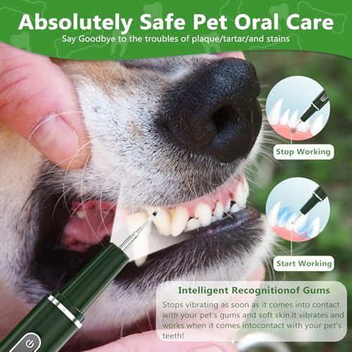 Dog Plaque Remover for Teeth - Pet Ultrasonic Tooth Cleaner, 6 Adjustable Modes Dog Teeth Cldaning Kit with LED Light, Cats and Dogs Tartar Remover for Teeth (Green, Large)