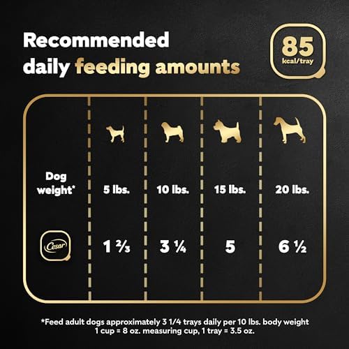CESAR Adult Wet Dog Food Filets in Gravy Rotisserie Chicken Flavor, 3.5 oz. Easy Peel Trays, Pack of 24