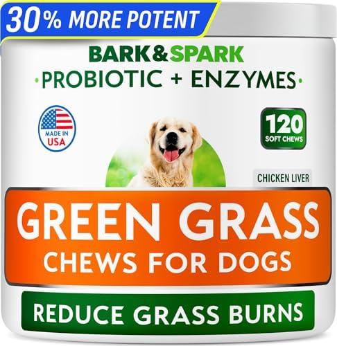 BARK&SPARK Green Grass Chews - Pee Grass Spot Saver Caused by Dog Urine - Urine Neutralizer for Lawn, Gut Health Probiotics & Digestive Enzymes,Lawn Burn from Dog Urine, Grass Burn Spot Chews, Rocks