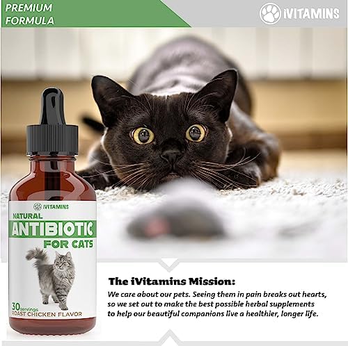 Natural Antibiotics for Cats | Cat Supplements | Cat Antibiotic | Cat Antibiotics | Cat Immune Support | Antibiotic for Cats | Cat Multivitamin | Multivitamin for Cats | 2 Pack: 60 Servings Total