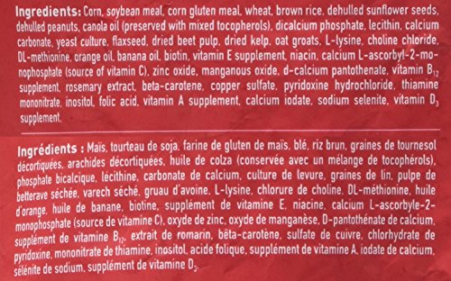 Hagen Tropican High Performance Parrot Food, 3.3 ib. - Hari Parrot Sticks with Peanuts & Sunflower Seeds and Higher Nutrition Levels