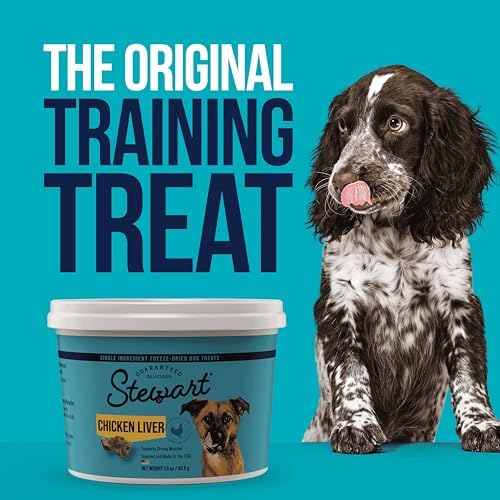 Stewart Freeze Dried Dog Treats, Chicken Liver, Healthy, Natural, Single Ingredient, Grain Free Dog Treat, Liver Treats for Dogs, 11.5 Ounces, Resealable Tub