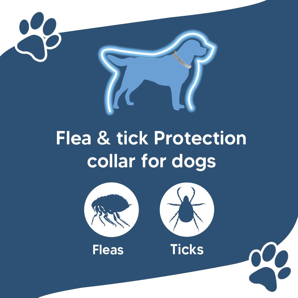 NJKPUYT Flea Collar for Dogs, Tick Collars for Dogs, Dog Fleas Collar, 8-Month Protection,Safe Repellent for Fleas, Ticks & Mosquitoes,Fits Small, Medium & Large Dog-2P