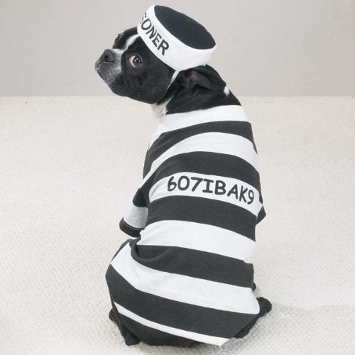 Casual Canine Prison Pooch Costume, Large