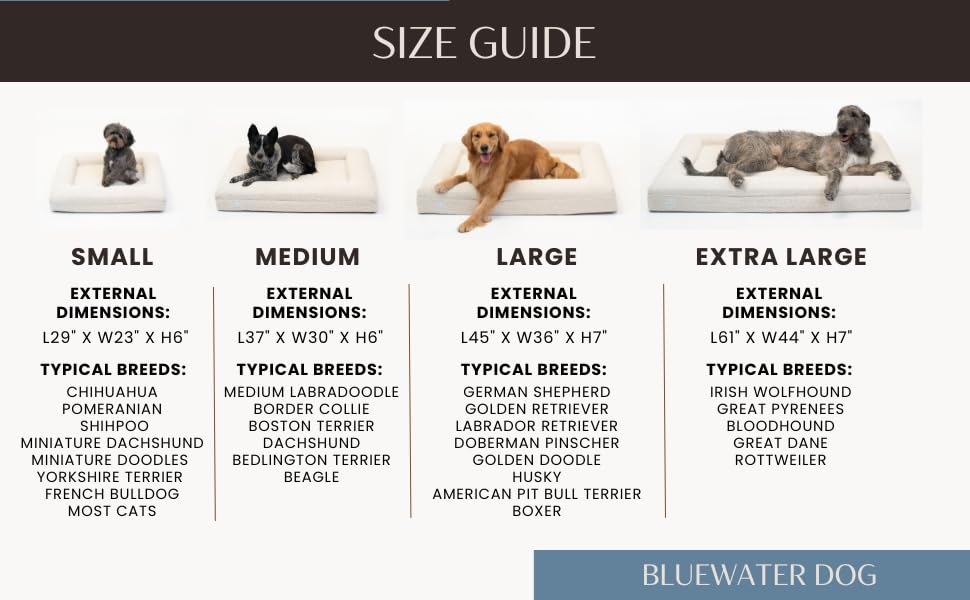 Bluewater Dog Luxury Boucle Orthopedic Memory Foam Dog Bed with Waterproof Liner and Machine Washable Cover with YKK Zippers (Large, 45" L x 36" W x 7" Th, Sand)