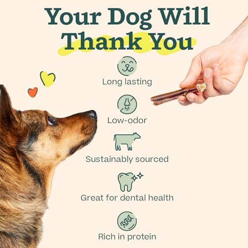 WOOF Bully Sticks Dog Treats - Chew Sticks for Dogs - Long-Lasting Dog Chew Treats - Dog Products Made with Free-Range, Grass-Fed Beef - 6" Sticks - 25pk