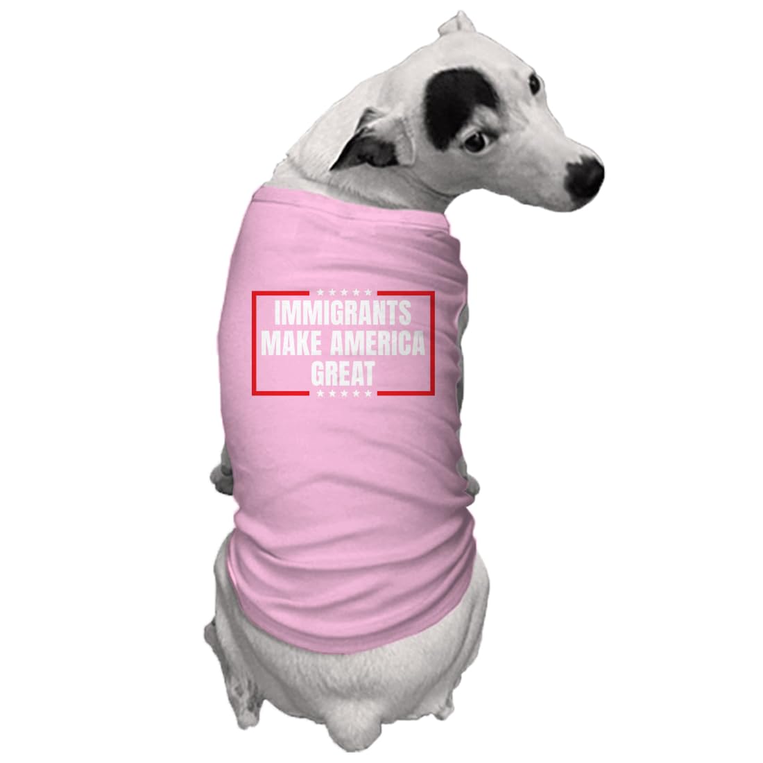 Immigrants Make America Great Dog Shirt (Pink, 2X-Large)