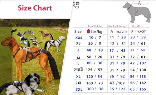 K9 TailSaver: Large Happy Tail Protector for Labrador, Golden Retrieve, Pitty, Doodles – Check Size Chart Image for FIT