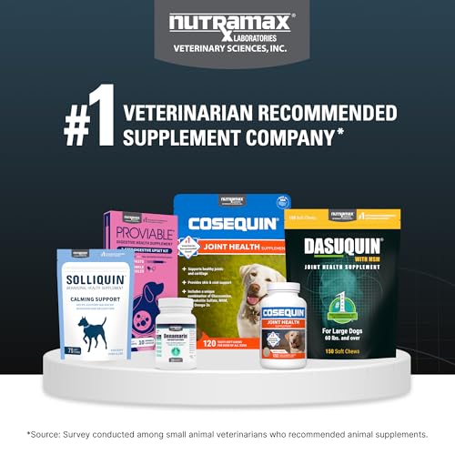 Nutramax Dasuquin for Large Dogs, Joint Health Supplement, Contains Glucosamine for Dogs, Plus Chondroitin, ASU, MSM and More, Supports Healthy Joints, Chewable Tablets, 84 Count