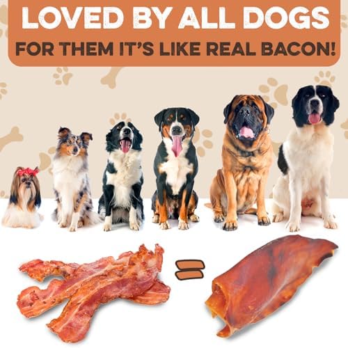 100% Natural Whole Pig Ear Dog Treat - 12 Pack Our Healthy Pig Ears Are Easy To Digest, Chemical & Hormone Free Thick Cut For Aggressive Chewers, Great Small Or Large Dogs