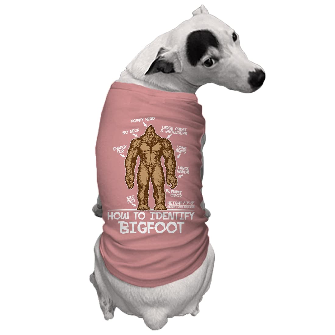 How to Identify Bigfoot - Dog Shirt (Mauve, 2X-Large)