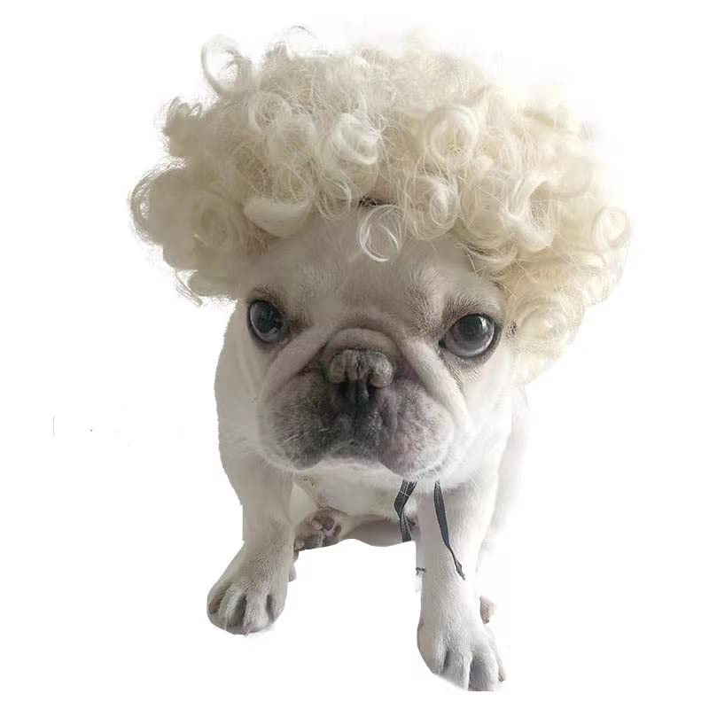 Spa Day Dog Costume Cosplay Wig, Curly Hair Pet Cat Wigs for Halloween Parties Dog Hats Wigs for Small Medium and Large Dogs Adjustable(Pet Head Circumference 6-27 inches)