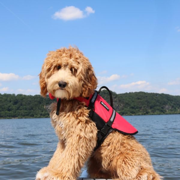 ZippyPaws Adventure Dog Life Jacket - Dog Life Vest for Swimming & Boating, Fits Small Pets, Lightweight Flotation Device for Water Safety, Padded Handle, Adjustable Fit, 6-10" - XX-Small, Red