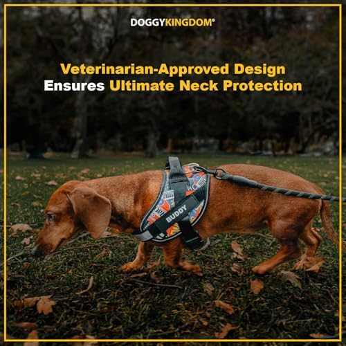 Personalized No-Pull Dog Harness with Name Patch, Padded, Adjustable and Reflective Service Dog Vest, Easy On Dog Harnesses for Medium Large Small Sized Dog Light Blue, M