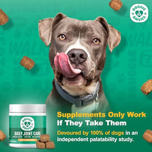 Load image into Gallery viewer, Doggie Dailies, Hip and Joint Supplement for Dogs, Glucosamine Chondroitin, Premium Hip and Joint Chews for Dogs All Breeds & Sizes, Dog Vitamins and Supplements, (Chicken) 225 Chews