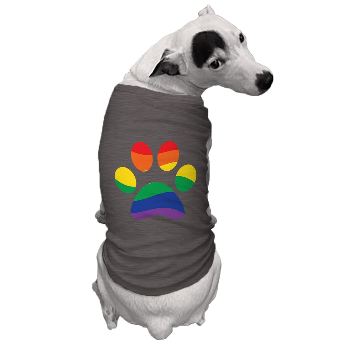 Paw Pride - LGBTQ Puppy Dog Shirt (Dark Gray, Medium)