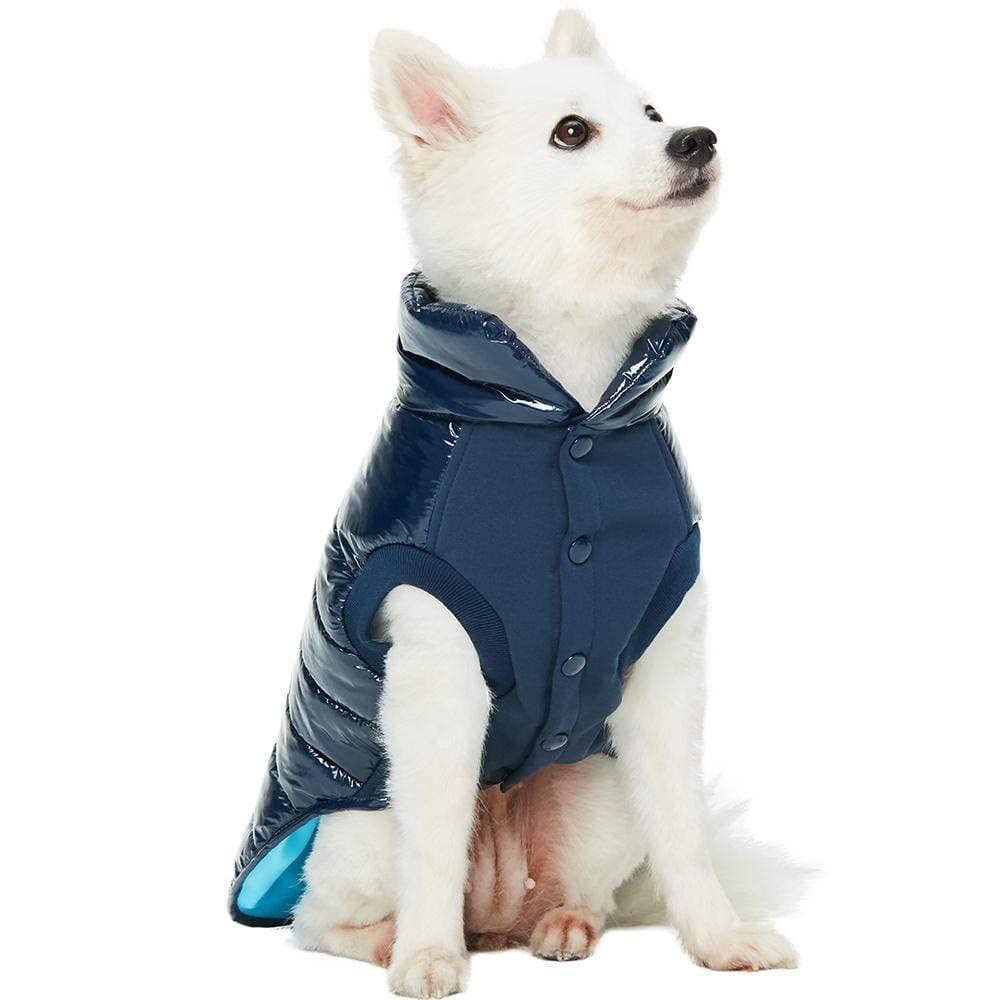 Blueberry Pet Cozy & Comfy Windproof Lightweight Quilted Fall Winter Glossy Dog Puffer Jacket in Navy Blue, Back Length 12.5", Size 10, Warm Coat for Small Dogs