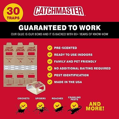 Catchmaster Mouse & Insect Glue Board Set, 36 Glue Boards & 30 Spider & Insect Glue Traps, Indoor Roach Trap for Home, Garage & Shed, Pet Safe Pest Control
