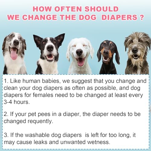 XPCARE 6 Pack Washable Female Dog Diapers - Reusable Doggie Diapers, Highly Absorbent Dog Diapers Female, Leak-Proof Puppy Diapers for Female Dog(M)