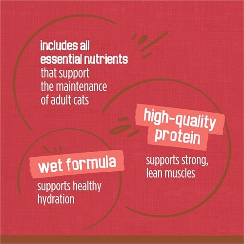 Purina Friskies Extra Gravy Wet Cat Food Chunky With Beef in Savory Gravy - (Pack of 24) 5.5 oz. Cans