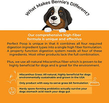 Load image into Gallery viewer, Perfect Poop Digestion & General Health Supplement for Dogs: Fiber, Prebiotics, Probiotics & Enzymes Relieve Digestive Conditions, Optimize Stool, and Improve Health (Cheddar Cheese, 4.2 oz)