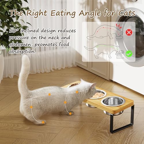 Elevated Cat Bowls with 3 Stainless Steel Bowls | 10° Tilted Anti-Vomiting Raised Cat Food Bowls for Small Cats and Puppies Pet Bowls with Stand
