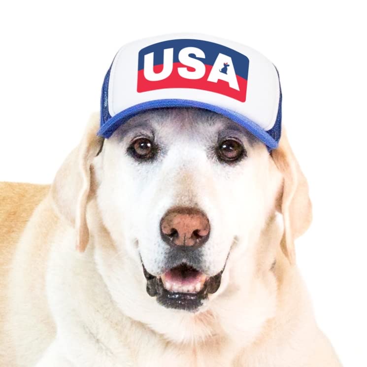 USA Collection, PupLid Trucker Hats for Dogs (Large) Premium Stylish Sun Protection for The Modern Dog - Adjustable for Secure Comfortable Fit on Active Dogs (Blue, Stripes)