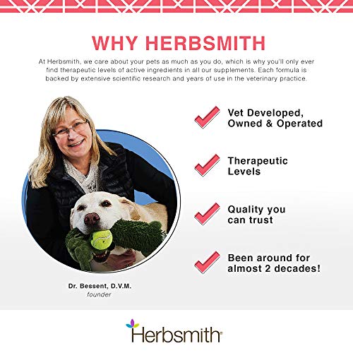 Herbsmith Pure Krill - Wild-Caught Antarctic Krill - Just 1 Ingredient - Astaxanthin for Dogs - Ready-to-Use Omega 3s – Alternative to Krill Oil for Dogs - 75g