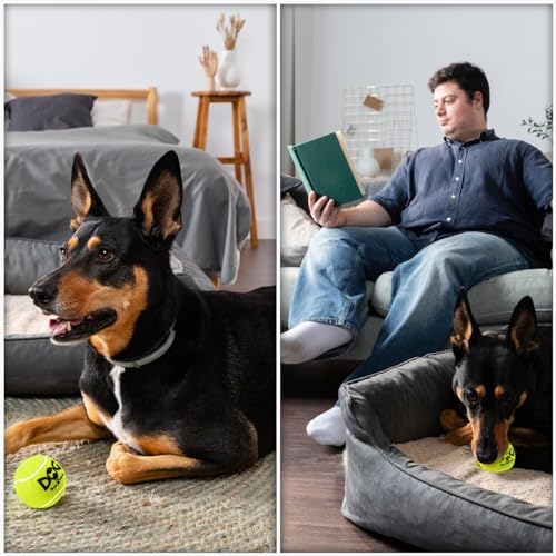 6PC Squeaky Dog Balls - Tennis Balls for Dogs,2.5''