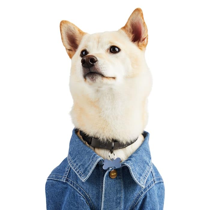 Reddy Denim Jacket for Dogs Dark Wash X-Large