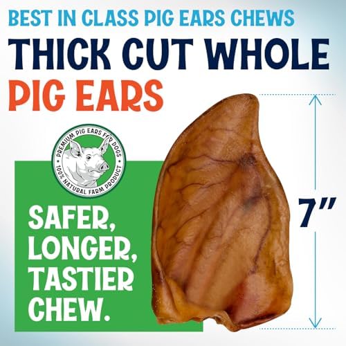 Whole Pig Ears for Dogs Large - 6 Pack Long Lasting Dog Chews – One Ingredient Delicious All Natural Flavor – Easy to Digest Dog Treats for Large Dogs - Great for Teeth and Gums