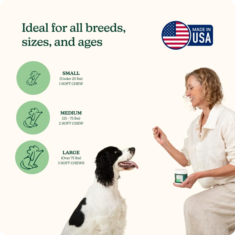 Reggie Anytime Calming Chews for Dogs | Natural Anxiety Relief with L-Theanine & Magnolia Barks | Calming Dog Treats for Separation Anxiety, Thunderstorms, Travel & Stress | 60 Soft Chews