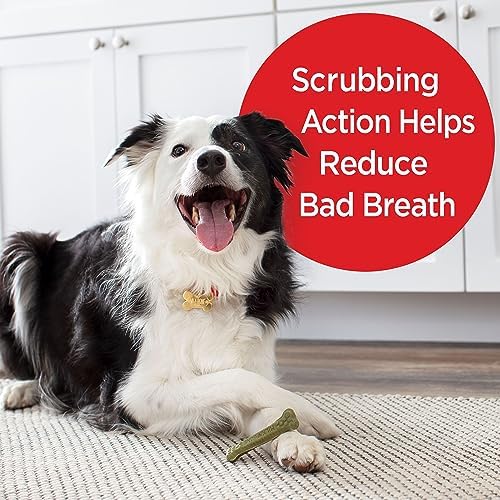 Milk-Bone Fresh Breath Brushing Chews, 9 Small/ Medium Daily Dental Dog Treats (Pack of 5) Scrubbing Action Helps Clean Teeth